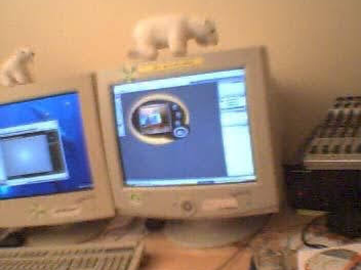 Two CRT monitors on a desk with small polar bear figurines on top